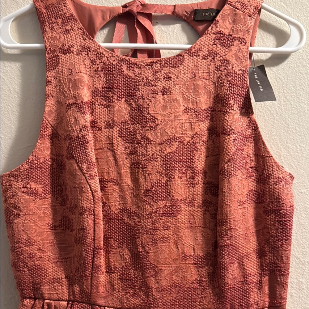 NWT The Limited mauve floral embossed Pink Dress sz 6 - Picture 2 of 5